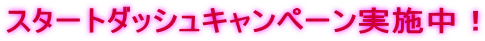 スタートダッシュキャンペーン実施中！